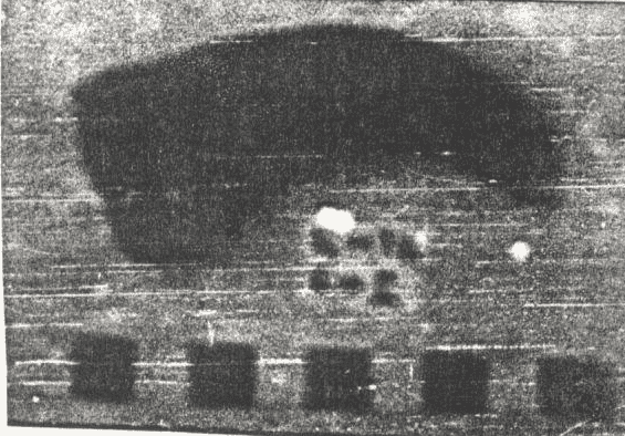 تمثال حيواني
